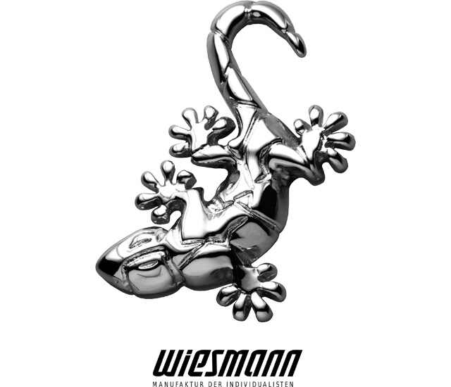 威兹曼 logo图片