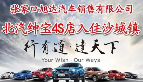 2016怀来县沙城镇大型车展