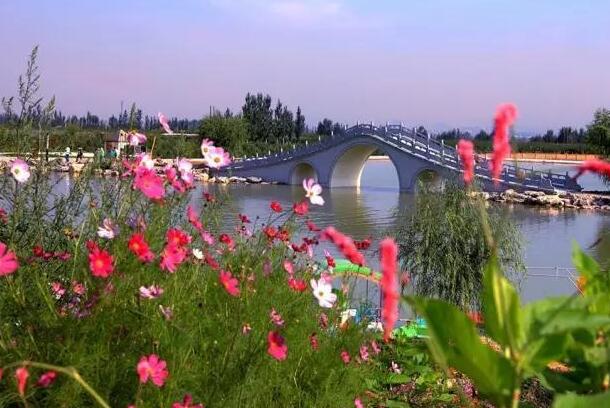 2016庞大集团张家口区域消夏车展