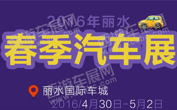 丽水车展