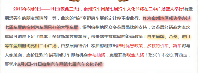 2016宿州汽车网第七届汽车文化节