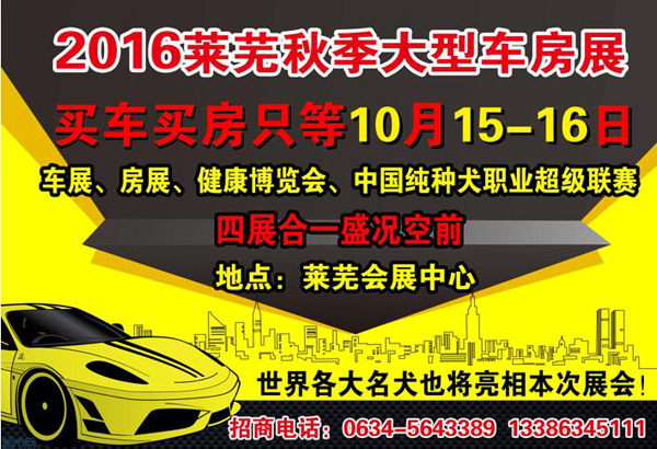 2016莱芜秋季大型车房展