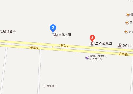 2016武城电视台夏季汽车展销会