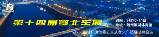 随州车展