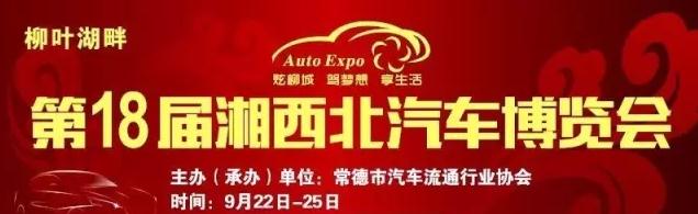 常德车展