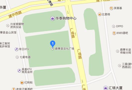 2016南国今报汽车巡展鹿寨站