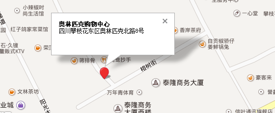 攀枝花车展
