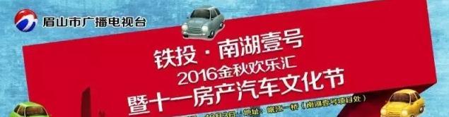 眉山车展