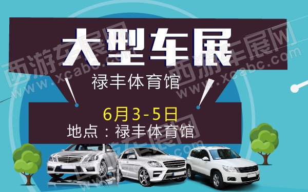禄丰体育馆大型车展-01.jpg