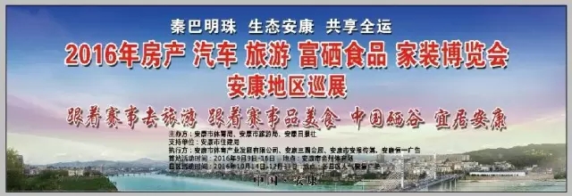 安康车展