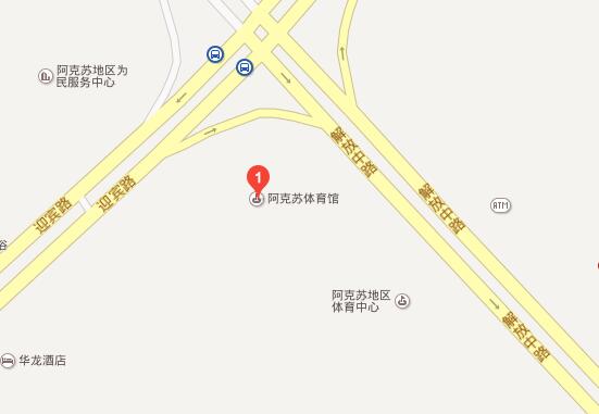 阿克苏车展
