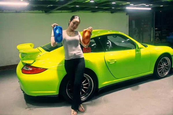 德国鹦鹉修补漆