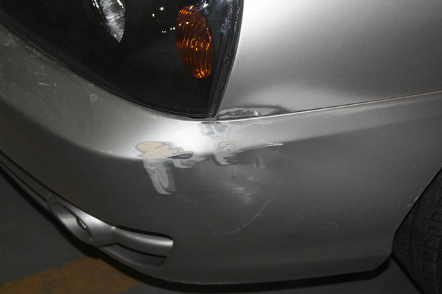 德国鹦鹉修补漆