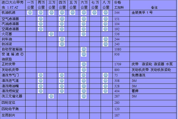 进口大众甲壳虫保养周期